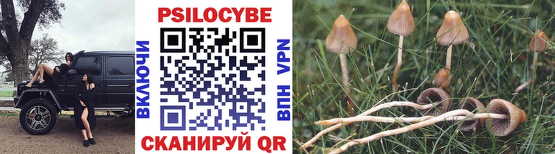 Псилоцибиновые грибы мухоморы  Буй 