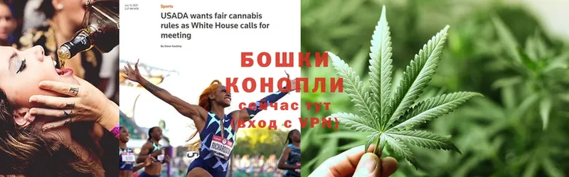 Каннабис OG Kush  где можно купить наркотик  Буй 